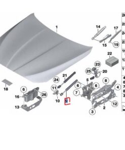 51237309119 BMW F10 Kaput Amortisörü orj 7309119
